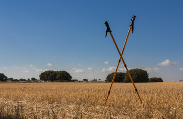 Crossed hiking poles on field