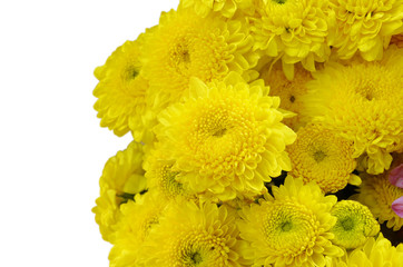 yellow flowers background