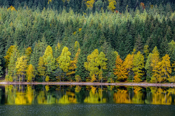 Autumn landscape. Lake in the morning reflection of trees in the water.