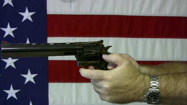 Revolver aim arm 357 Magnum HD
