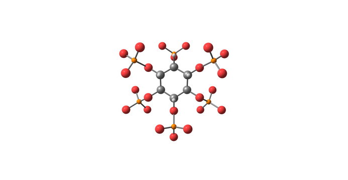 Phytic acid molecular structure on white background