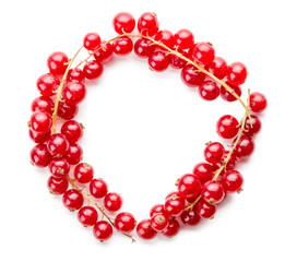 Red Currant close up 