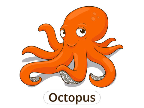 Octopus sea animal fish cartoon illustration 