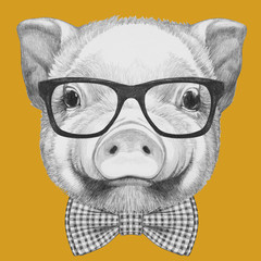 Portrait of Piggy with glasses and bow tie. Hand drawn illustration.