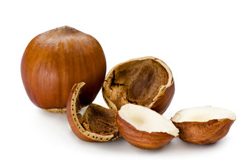 Ripe filbert isolated on white background.