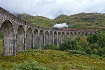 Photo sur Plexiglas Gleanfinnan viaduct and steam train