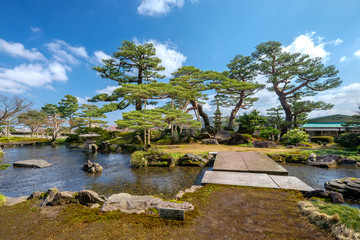 Fototapeta premium Japanese garden