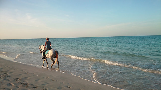 cheval sur la plage 19102015