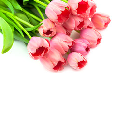 Bouquet of Light Pink Tulips, fresh flowers with love,