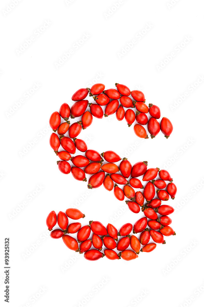 Poster red hip rose capital letter s