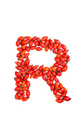 Red hip rose capital letter r
