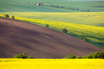 Idyllic colorful fields landscape - countryside hills background