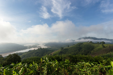Fototapeta premium Huai Phu E son Nong kai,Thailand.