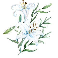 Raster watercolor lilies