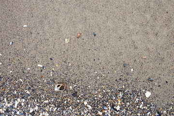 Sea background - sand, pebbles and seashells