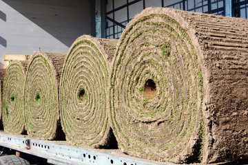 Rollrasen als Fertigrasen wartet auf Verlegung als Rasen oder Rasenfläche in Gartenanlage