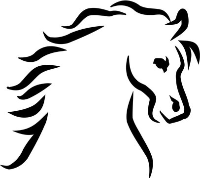 Beautiful head of a horse sketch style
