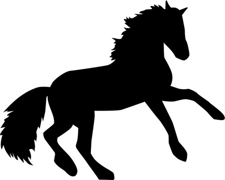 Horse with raising forelegs