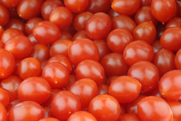 fresh Tomberry (very small) tomatoes background