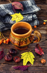 Still life late autumn