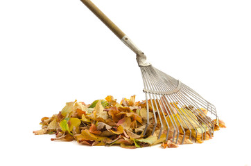 Laubrechen und Herbstlaub