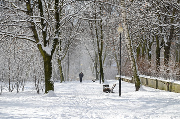 Winter park