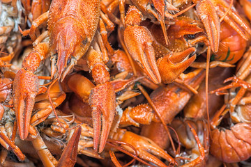 Many red lobsters for sale