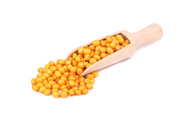 Buckthorn berries in scoop