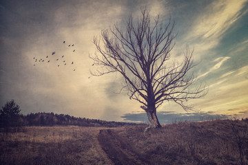 Gloomy autumn landscape in vintage processing - 93936146