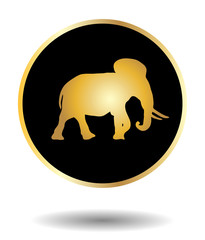 Vector golden and black icon with elephant isolated on white with shadow. Vector illustration