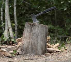 Ax for firewood