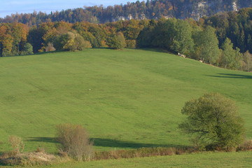 Fototapeta premium paysage de campagne