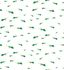 Fototapeta premium Vector seamless background of ants. Chaotic ants on a white background.