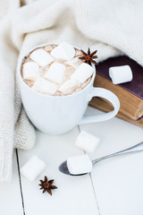 Cozy winter home background