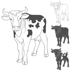 Set of black and white illustrations with a cow. Isolated vector objects on a white background.