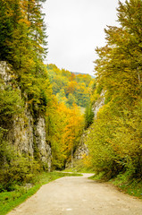 Obraz premium The colors of autumn. Autumn landscape in mountains with colorful forest and blue sky.