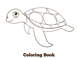 Coloring book turtle sea animal illustration