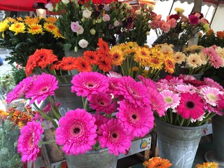 bunte Blumen am Marktstand