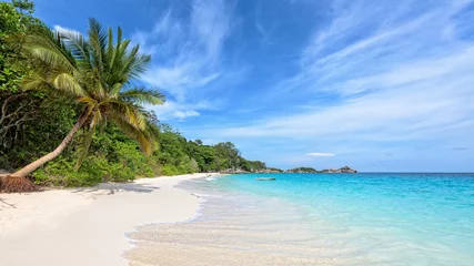Beau paysage de sable de mer de noix de coco de ciel bleu et de vagues sur la plage pendant l& 39 été à l& 39 île de Koh Miang dans le parc national de Mu Ko Similan, province de Phang Nga, Thaïlande, écran large 16:9