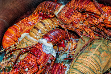 Boiled lobsters in a pan