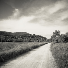 Tipical Tuscany country road called "white road" (Italy-Tuscany) - Toned image