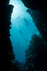 Underwater Cavern and Snorkelers
