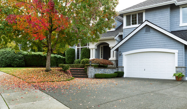 Early autumn with modern residential single family home and maple tree with falling leaves 