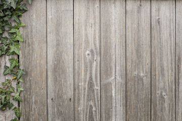 Wooden background with ivy