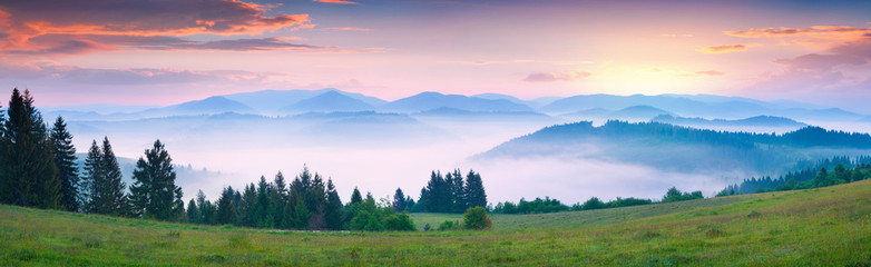 Naklejka na ściany i meble Colorful summer morning in the foggy Carpathian mountains