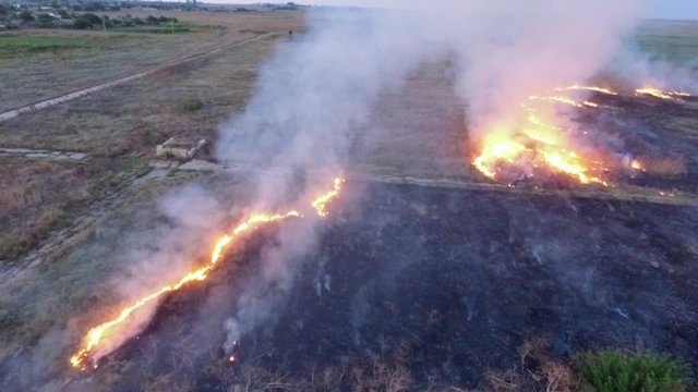 AERIAL VIEW. Dry Grass Of Field Burning In Steppe