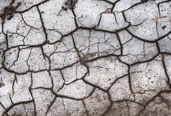 Background of dry cracked ground