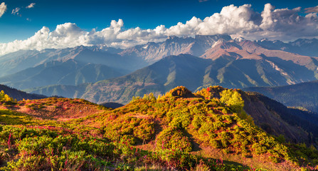 Colorful autumn morning in the Caucasus mountains