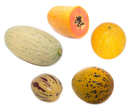 melons and pawpaw isolated