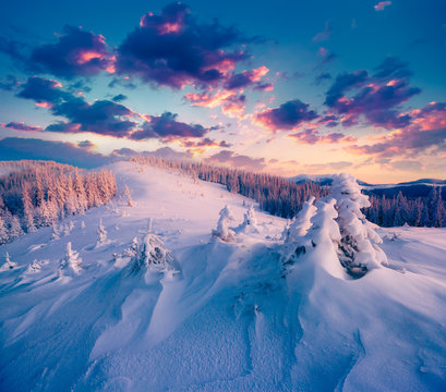 Colorful winter sunrise in the Carpathian mountains.